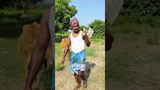 🤣Macha Kalaka Thirudalanda 🤣#trending #viral #comedy #video #school #life #funny #videos #funnyvideo