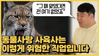 동물원 사육사 되는법/맹수한테 맞아서 병원에 실려갈 뻔 했습니다(사육사 박진욱)