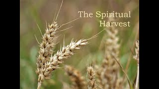 The Spiritual Harvest