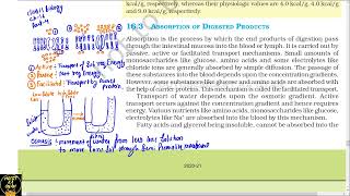 Part 4 Digestion and absorption||How digested food absorbed||Class 11th Biology NCERT