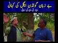 chitrals golden eagle wildlife legend گولڈن ایگل کی ان سنی کہانی