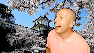 「Cherry Blossoms」「桜」＃英語の歌