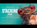 Mastering Macro Photography: Focus Stacking for Beginners