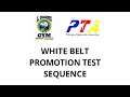 Taekwondo - White Belt Promo Sequence