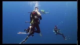 DADA与她的船长06：在墨西哥火山群岛寻找白鳍鲨的老窝 / Diving deep to find the home of the whitetip shark