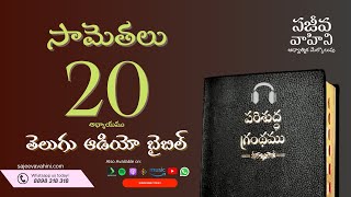 Proverbs 20    సామెతలు   Sajeeva Vahini Telugu Audio Bible