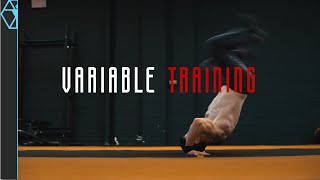 This Training Concept Builds NEXT LEVEL Performance