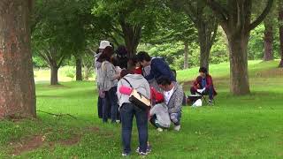 親子遠足2018.6／青森大谷幼稚園