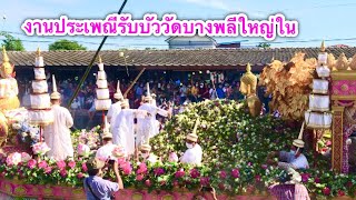 ประเพณีรับบัว งานประเพณีโยนบัว วัดหลวงพ่อโต หรือวัดบางพลีใหญ่ใน สมุทรปราการ 2563