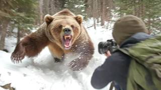 Hiker BRUTALLY MAULED After Taking Photo of Grizzly Bear on January 5th, 2025