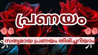 പ്രണയിക്കുന്നവർ ശ്രദ്ധിക്കേണ്ടത്💯 സത്യമായ പ്രണയം തിരിച്ചറിയണം♥️❤️