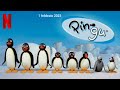 netflix 1 febbraio 2023 pingu