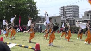 湘南よさこい2015 ～ 猿子舞隊 猿楽