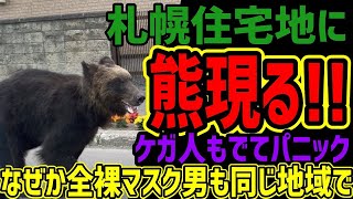 【熊パニック】札幌住宅地でクマ出現して様子がヤバすぎた!!ケガ人や自衛隊で街は騒然!!さらに全裸マスク男も現れ札幌がヤバすぎた!!