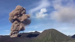 Mount Bromo Vlog 【印尼·火山🌋】