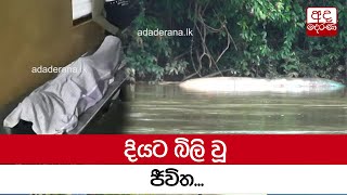 දියට බිලි වූ ජීවිත...