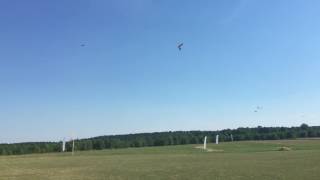 Wing Gaggle Pecan Patch 2016