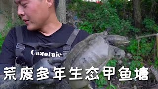 【戶外捕魚VLOG】花一條華子包下一口荒廢多年的生態甲魚塘，沒想到裏面這麼多貨