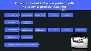 RNAscope fully automated protocol with NanoVIP