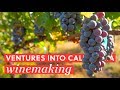 Ventures into Northern California Vineyards & Winemaking | BAO After Work