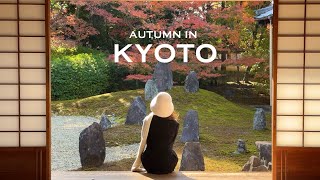 Kyoto in autumn | 3-day itinerary | Japan VLOG