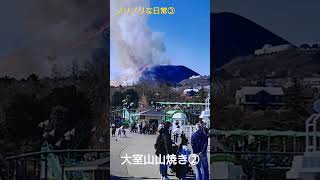 伊豆ぐらんぱる公園 Norinoriな日常③