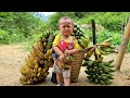 Huu Loc and his mother brought bananas to the market to sell _ Weeding the taro garden