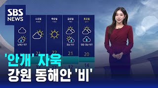 [날씨] '안개' 자욱…동풍의 영향으로 강원 동해안 '비' / SBS