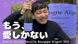 【ワイン フランス】パタイユのアリゴテを飲むと人生語れます。ゆきおとワイン381「Sylvain Pataille Bourgogne Aligoté 2019」