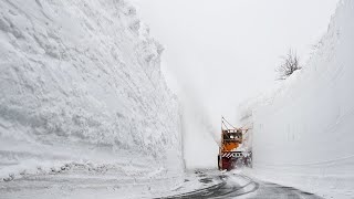 八甲田・十和田ゴールドラインで除雪作業が本格化　「雪の回廊」が出現