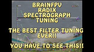 POSSIBLY THE EASIEST WAY TO TUNE BETAFLIGHT FILTERS!! BRAIN FPV SPECTROGRAPH