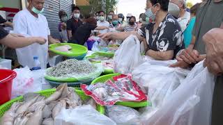 Taiwan Seafood Auction-LongJawed Mackerel,Milk Fish