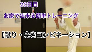 【お家で出来る簡単トレーニング】♯20日目《蹴り・突きコンビネーション】