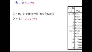 S2 - Hypothesis Testing - The Population Proportion p, using a Binomial Distribution - Example 2