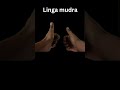 linga mudra effective mudra mudra yoga yogaforbeginners meditation intuition weightloss