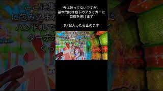 〈閲覧注意？！〉クソウザい画面タッチの仕方と捻り打ち教えます！　わんわんパラダイスV