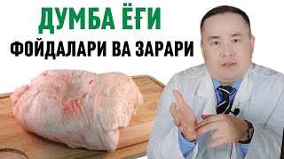 ҚЎЙ ДУМБА ЁҒИНИ ШИФО ФОЙДАЛАРИ ВА ЗАРАРЛАРИ ҲАҚИДА ДОКТОР ИСЧАНОВ МАЪЛУМОТЛАРИ