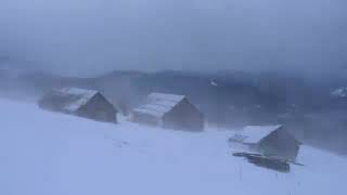 💨 Winter Storm Ambience with Icy Howling Wind Sounds for Sleeping, Relaxing and Studying Background
