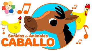 Los Sonidos de Animales - El Caballo | Rondas Infantiles de Los Animales para Niños | BabyFirst