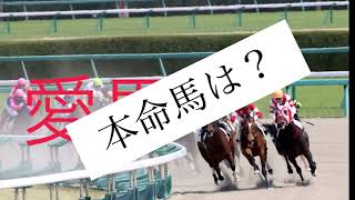 3/27  大井競馬メインレーススノードロップ賞予想