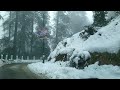 patnitop nathatop snowfall dec. patnitop hill station snowfall patnitop me snowfall kab hota hai