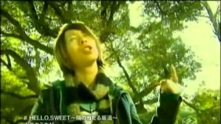 少年カミカゼ HELLO.SWEET〜陽の当たる坂道〜