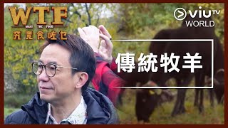 《究竟食咗乜》EP 11 - 傳統牧羊