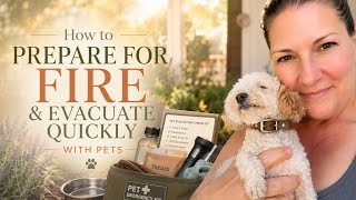 How To Prepare For Fire and Evacuate Quickly With Pets