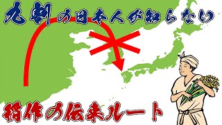 【ゆっくり解説】稲作はどこ経由で伝来したの？最新の調査で分かった日本の稲作