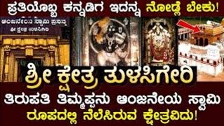 Tulasigeri | Bagalkot | ತುಳಸೀಗೇರಿ | ಆಂಜನೇಯ ದೇವಸ್ಥಾನ | ಬಾಗಲಕೋಟೆ | Shri Hanuman Temple |