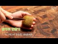 키위 예쁘게 자르는 방법 꿀팁~ 손님 접대용 과일 예쁘게 깎기 by.혼술혼밥