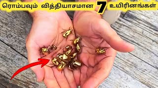 வித்தியாசமான உயிரினங்கள் || Seven Unique Creatures || Tamil Info Share