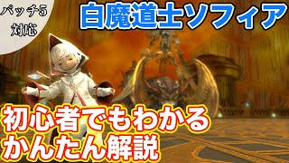 【FF14】ソフィアにヒーラー(白魔道士)で挑戦【蒼天のイシュガルド討滅戦】