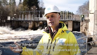Miljöåtgärder inom vattenkraften: utrivningen av dammen vid Mariebergs kraftverk